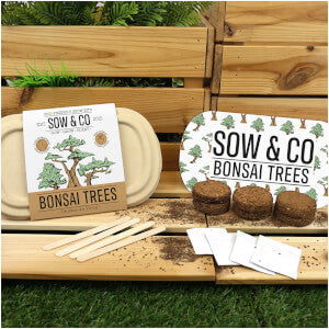 SOW AND CO GROW KIT - BONSAI