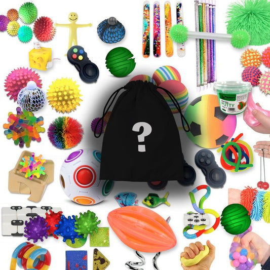 14 Piece Mystery Sensory Bag Random Selection of Fidgets